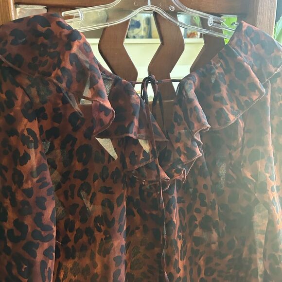 Amisu Brown and Black Sheer Ruffled Tie Front Blouse XS - Picture 4 of 15